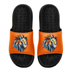 Kundenspezifische Basketball Hausschuhe mit zusätzlichen Mustern, Name Nummer Logo