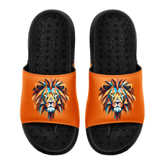 Kundenspezifische Basketball Hausschuhe mit zusätzlichen Mustern, Name Nummer Logo